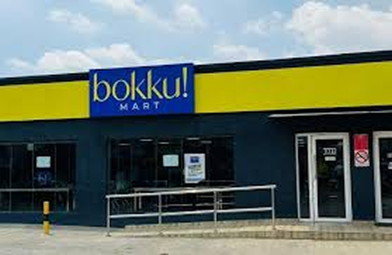 Bokku Mart Tribal Ad Controversy: A Wake-Up Call for Nigerian Brands and Creatives